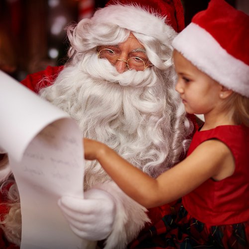 Santa sessions at the rake and riddle